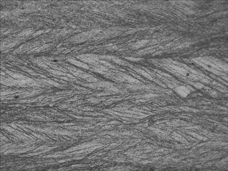 奧氏體高錳鋼500倍金相組織