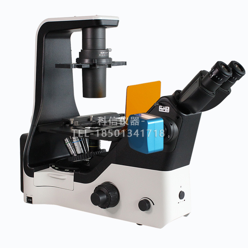 FRD-420科研級三目倒置熒光顯微鏡細(xì)胞觀察